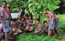 Van Mahotsav